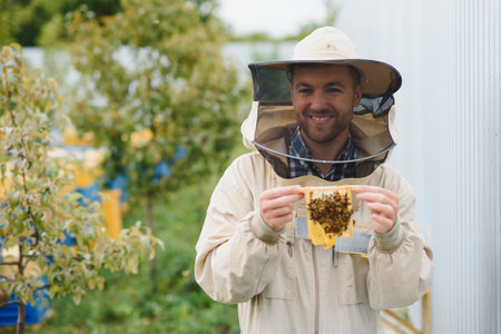 Beekeeping, beekeeper at work, bees in flight