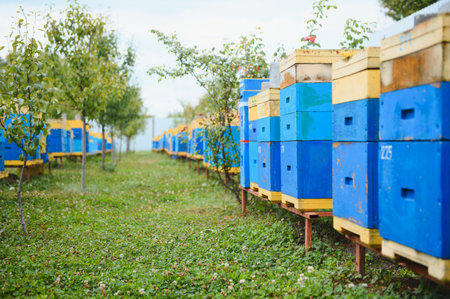 Beekeeping, beekeeper at work, bees in flight