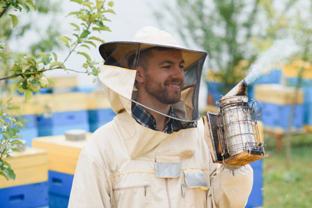 Beekeeper is working with bees and beehives on apiary. Bees on honeycomb. Frames of bee hive. beekeeping. Honey. Health food. natural productsの写真素材