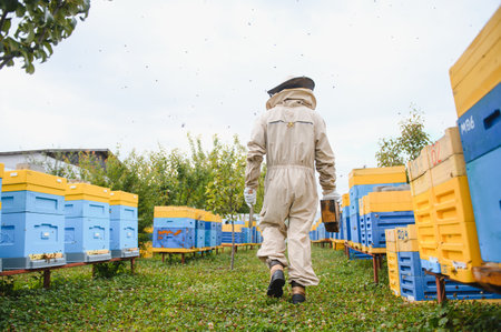 Beekeeping, beekeeper at work, bees in flight