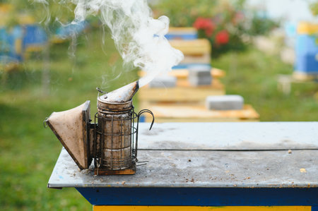 A tool of the beekeeper. Everything for a beekeeper to work with bees. Smoker, a chisel, a box, beekeeper suit for protection from the bees, equipment for beekeeping, beekeeping concept.の写真素材