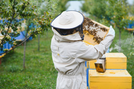 Beekeeping, beekeeper at work, bees in flight