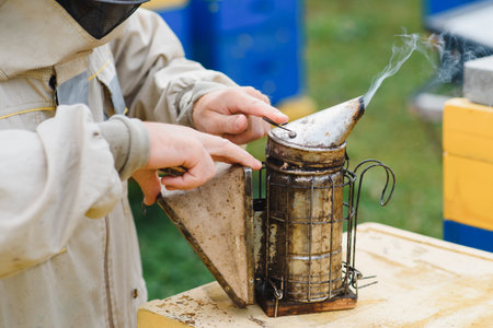 Beekeeper is working with bees and beehives on apiary. Bees on honeycomb. Frames of bee hive. beekeeping. Honey. Health food. natural productsの写真素材
