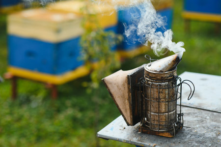 A tool of the beekeeper. Everything for a beekeeper to work with bees. Smoker, a chisel, a box, beekeeper suit for protection from the bees, equipment for beekeeping, beekeeping concept.の写真素材