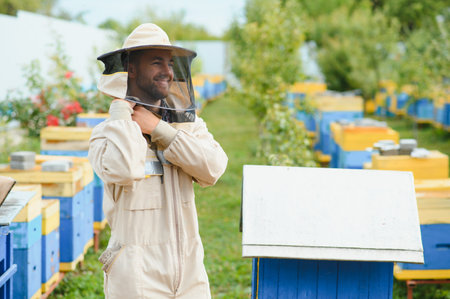 Beekeeper is working with bees and beehives on apiary. Bees on honeycomb. Frames of bee hive. beekeeping. Honey. Health food. natural productsの写真素材