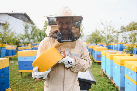 Beekeeping, beekeeper at work, bees in flightの写真素材