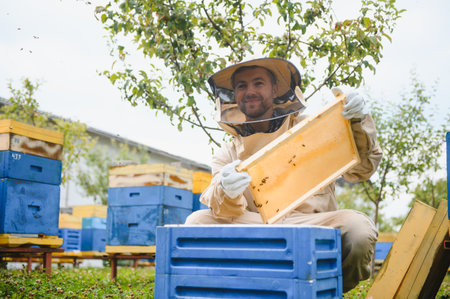 Beekeeper is working with bees and beehives on the apiary. Beekeeping concept.の写真素材