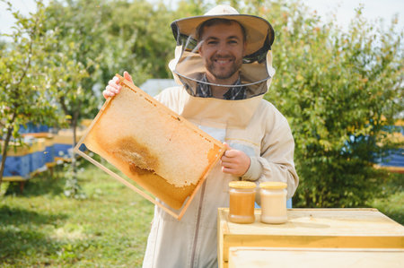 Beekeeper is working with bees and beehives on apiary. Bees on honeycomb. Frames of bee hive. beekeeping. Honey. Health food. natural productsの写真素材