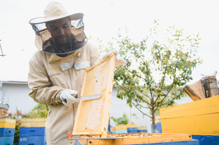 Beekeeper is working with bees and beehives on the apiary. Beekeeping concept.