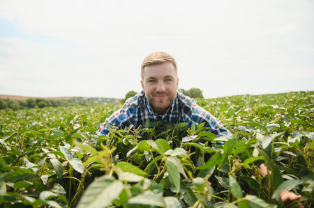 Young farmer in soybean fields.の写真素材