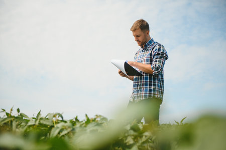 Agronomist inspecting soya bean crops growing in the farm field. agriculture production concept....