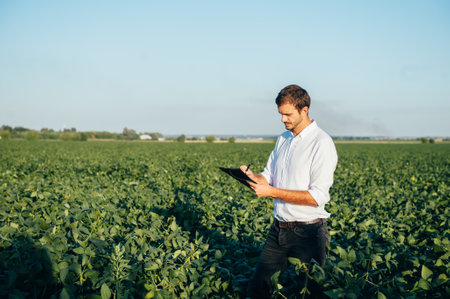 Yong handsome agronomist holds tablet touch pad computer in the corn field and examining crops...