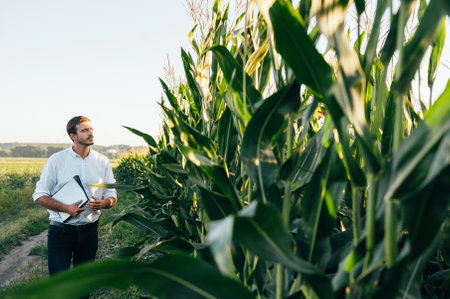 Yong handsome agronomist holds tablet touch pad computer in the corn field and examining crops...