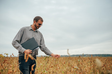 handsome agronomist holds tablet touch pad computer in the soy field and examining crops before harvesting. Agribusiness concept. engineer standing in a soy agricultural field with a tablet.の写真素材