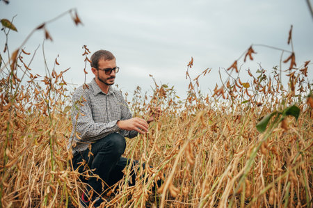 handsome agronomist holds tablet touch pad computer in the soy field and examining crops before harvesting. Agribusiness concept. engineer standing in a soy agricultural field with a tablet.の写真素材