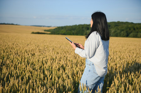Woman farmer with tablet in a wheat field at sunsetの写真素材