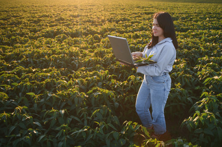 Female farmer or agronomist examining green soybean plants in the field.の写真素材