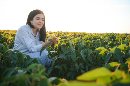 A female farmer in soybean field.の写真素材