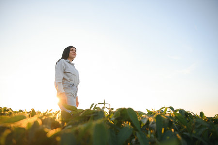 Female farmer or agronomist examining green soybean plants in the field.の写真素材