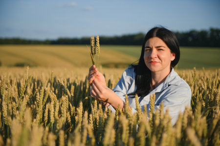 Woman farmer in a wheat field at sunsetの写真素材