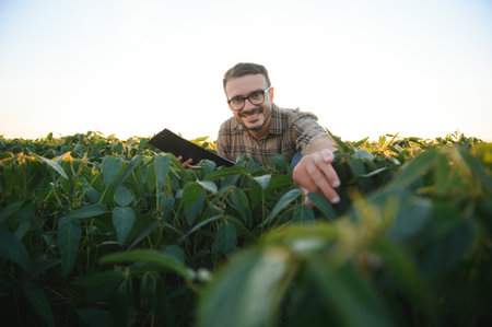 Young handsome agriculture engineer in soybean field with tablet in hands in early summer.