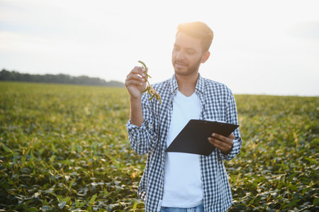 An Indian farmer works in a soybean field. The farmer examines and inspects the plantsの写真素材