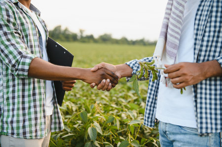 Close-up of African farmers shaking hands on the background of a soybean fieldの写真素材
