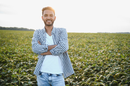 An Indian farmer in a soybean fieldの写真素材