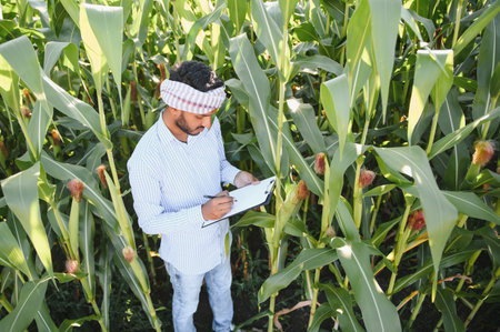 young indian farmer at corn fieldの写真素材