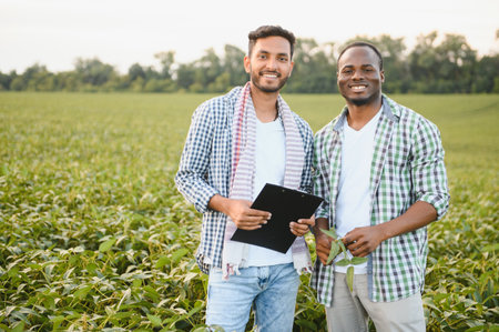 An African-American farmer and an Indian businessman in a soybean field discuss the sale of soybeans.の写真素材
