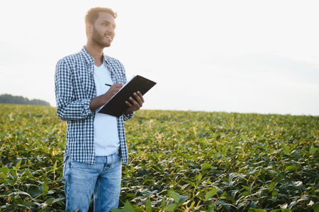 The concept of agriculture. An Indian farmer or agronomist inspects the soybean crop in a field