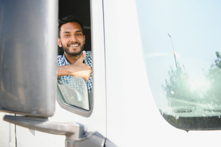 Young Indian truck driver. concept of road freight transportation