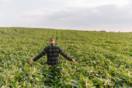 Agronomist inspecting soya bean crops growing in the farm field. agriculture production concept. young agronomist examines soybean crop on field in summer. Farmer on soybean fieldの写真素材