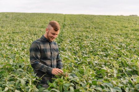 Portrait of young farmer standing in soybean field.の写真素材