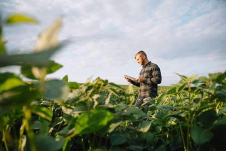 Portrait of young farmer standing in soybean field