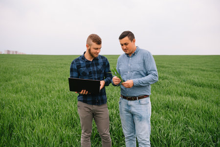 Two farmer standing in a wheat field and looking at laptop, they are examining corp. Young handsome agronomist. Agribusiness concept. agricultural engineer standing in a wheat fieldの写真素材