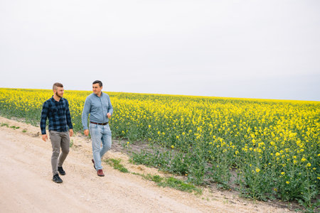 Two farmers in a field examining rape crop. Agribusiness concept. agricultural engineer standing in a rape fieldの写真素材
