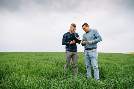 Two farmer standing in a wheat field and looking at notebook, they are examining corp. Young handsome agronomist. Agribusiness concept. agricultural engineer standing in a wheat fieldの写真素材