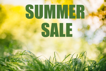 Spring or summer and abstract nature background with grass field. Background with green grass field and bokeh light. summer backgroundの写真素材