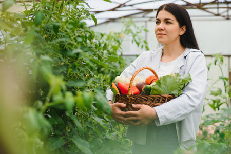 Young farmer woman holding fresh organic vegetable with basket at greenhouse hydroponic organic farm. Owner small business entrepreneur organic vegetable farm and healthy food conceptの写真素材