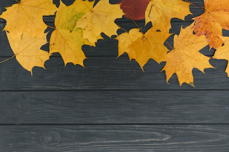 Autumn Leaves over wooden background.With copy spaceの写真素材