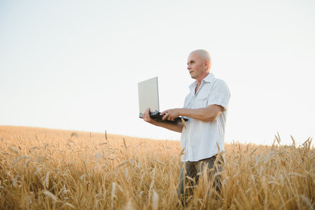 Farmer In Wheat Field Inspecting Crop