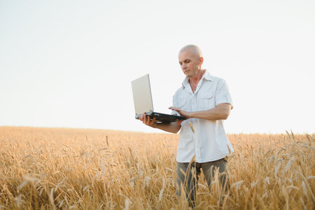 Agriculture, farmer or agronomist inspect quality of wheat in field ready to harvest