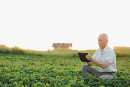 Agronomist inspecting soya bean crops growing in the farm field. agriculture production concept....