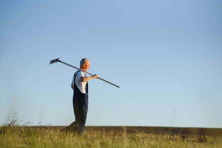 Senior farmer in a field. Agriculture conceptの写真素材