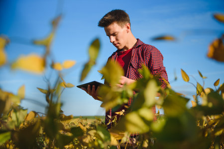 Farmer in soybean field plantationの写真素材