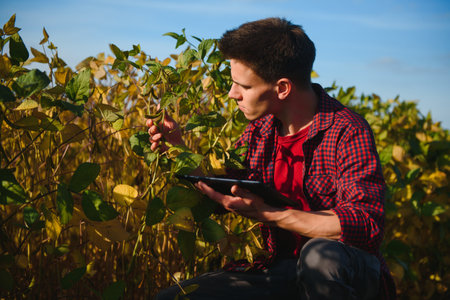 Young farmer in soybean fieldsの写真素材