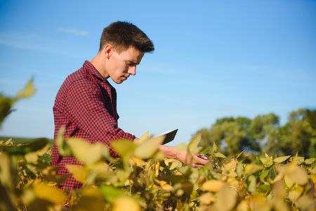 Young farmer in soybean fields