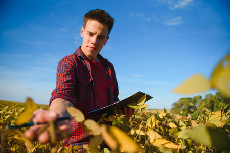 Agronomist inspecting soya bean crops growing in the farm field. agriculture production concept....