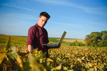 Farmer in soybean field plantationの写真素材